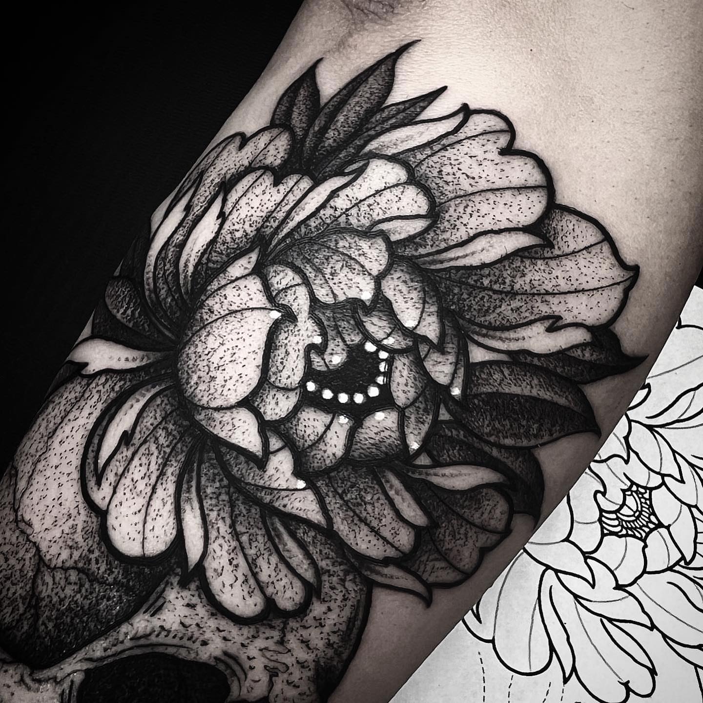 Flower dotwork tattoo on the forearm by Jared🗡Hughes