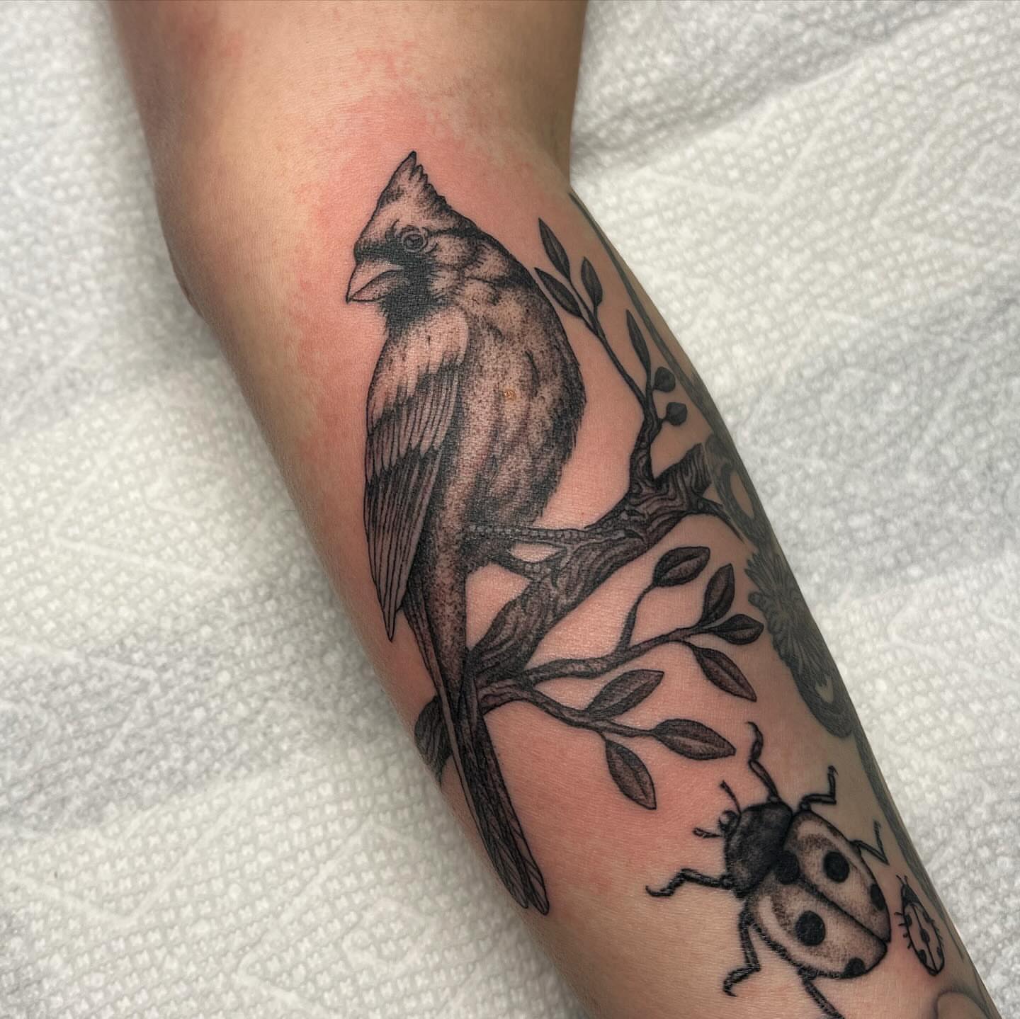 Cardinal and ladybug black and grey tattoo on the forearm by ⛓ Emily ⚔️ Milja ⛓