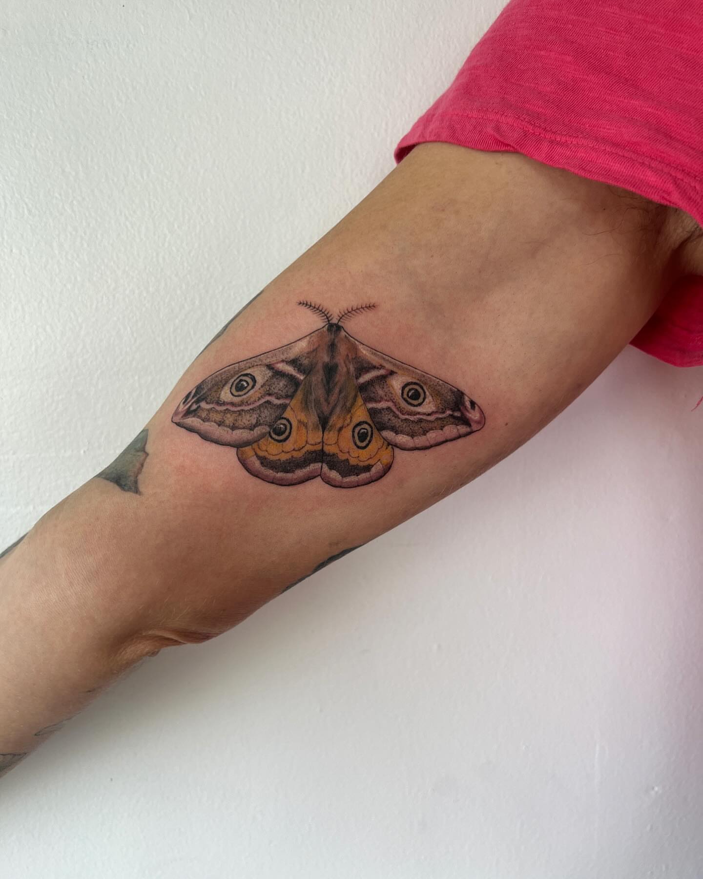 Butterfly realism tattoo on the forearm by See See : botanical tattoo artist :