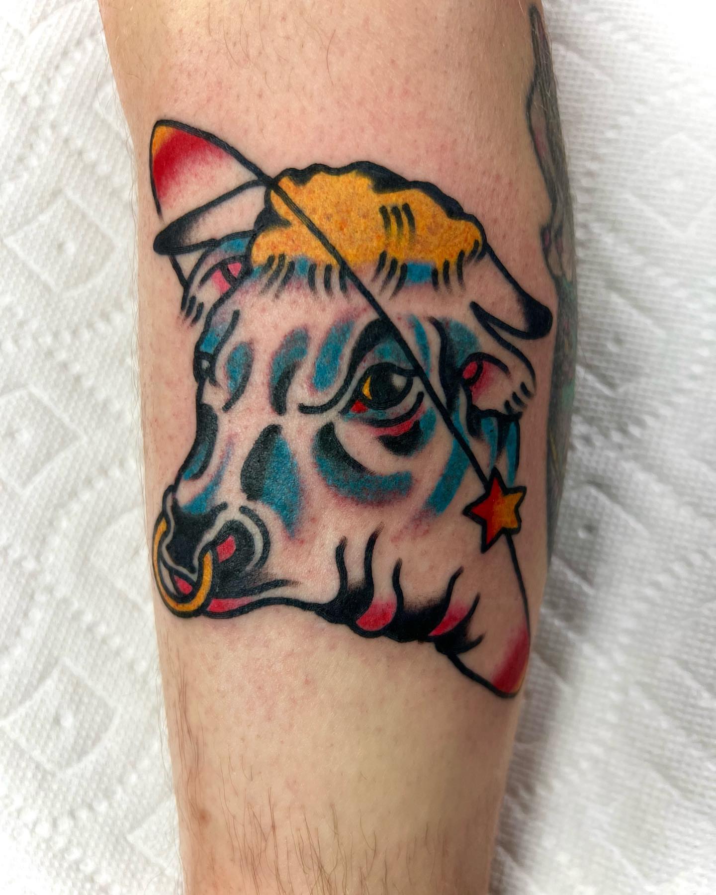 Cow head American traditional tattoo on the forearm by Nicholas Mella, Nashville, Tennessee