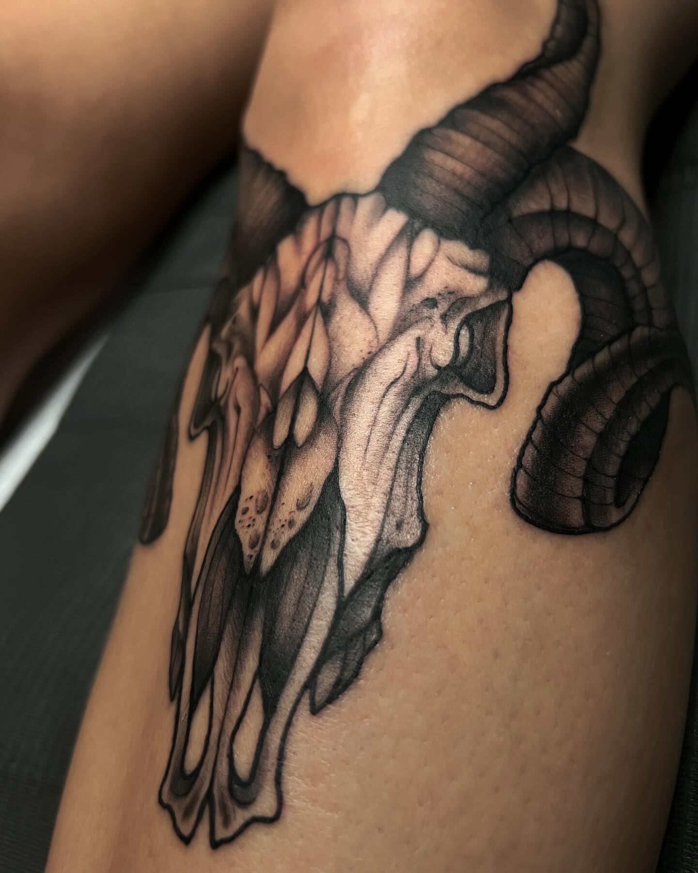 Ram skull black and grey tattoo on the shoulder by 𝖎 𝖆𝖒 𝖗𝖔𝖙𝖙𝖎𝖓𝖌 𝖜𝖎𝖙𝖍 𝖞𝖔𝖚