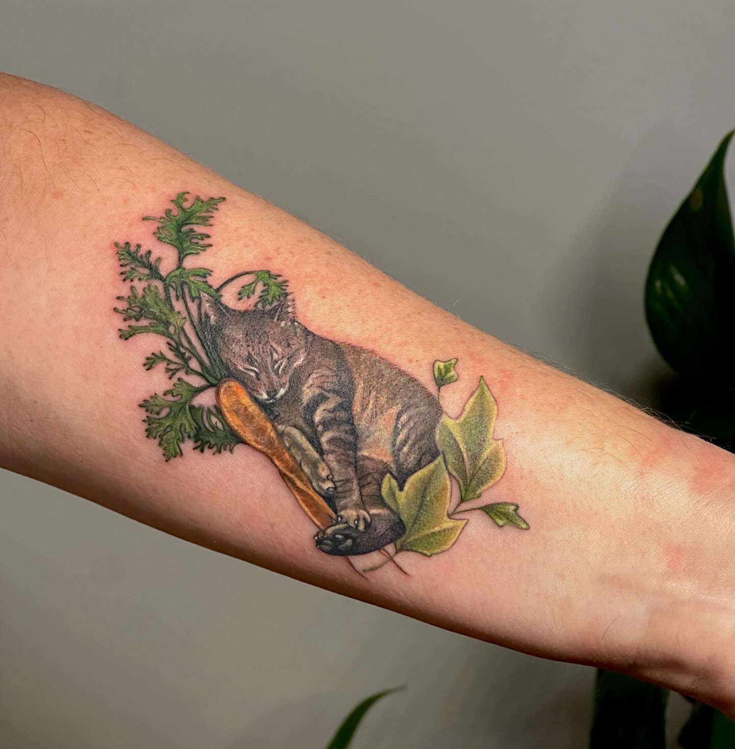 Cat realism tattoo on the forearm by 𓆏 Alyssa Carbonara 𓆏