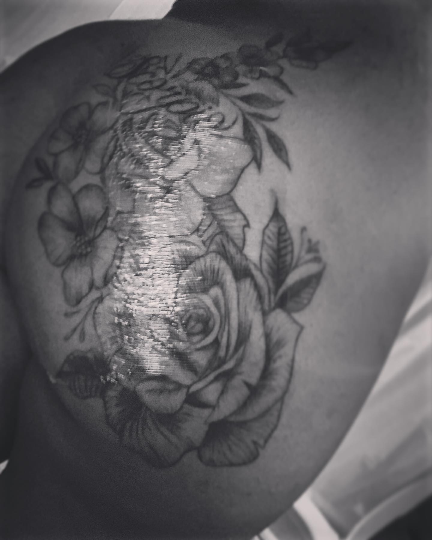 Rose black and grey tattoo on the shoulder by Bear