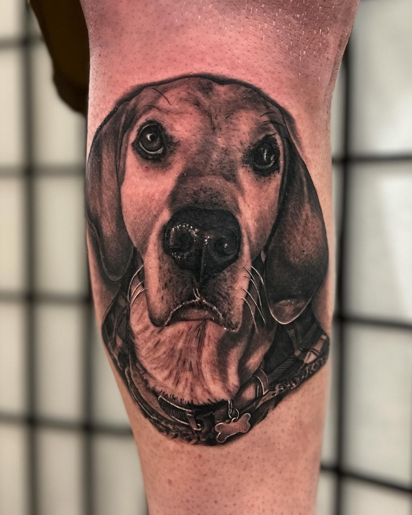 Dog realism tattoo on the forearm by Nick Bridwell, Downey, California