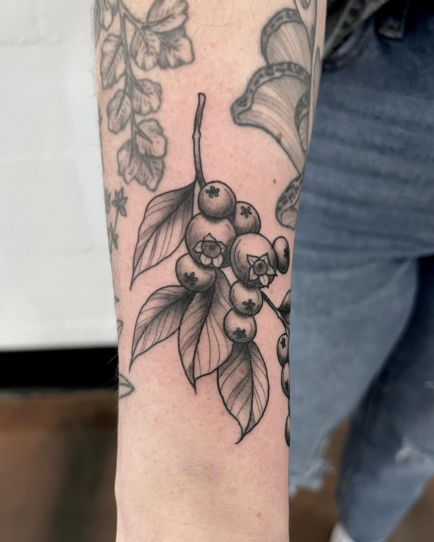 Blueberries and leaves black and grey tattoo on the forearm by Drew Foster, Toledo, Ohio