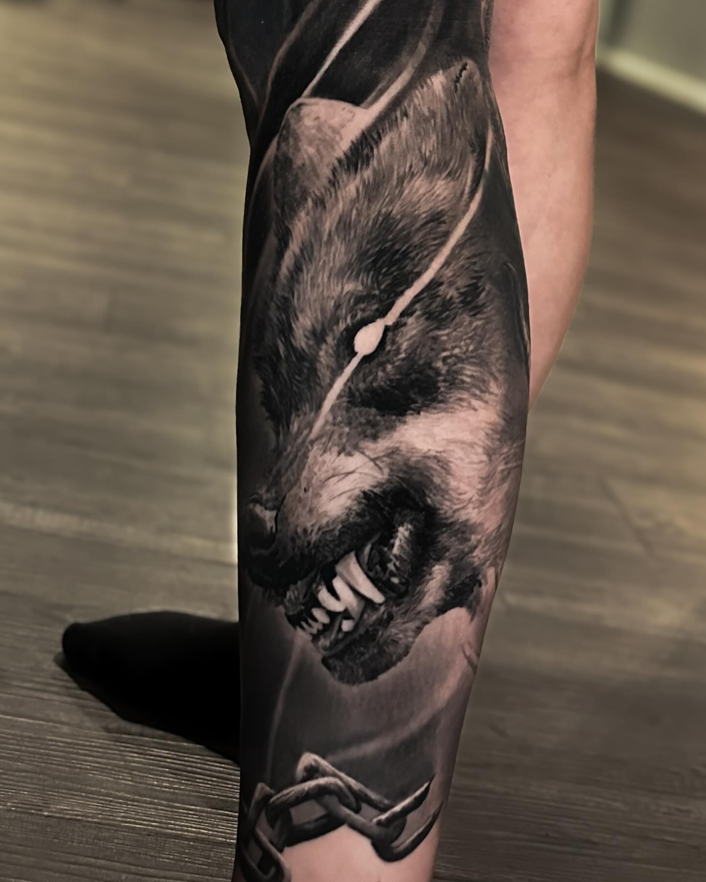 Wolf realism tattoo on the forearm by Kasey Gonzalez, Bel Air, Maryland