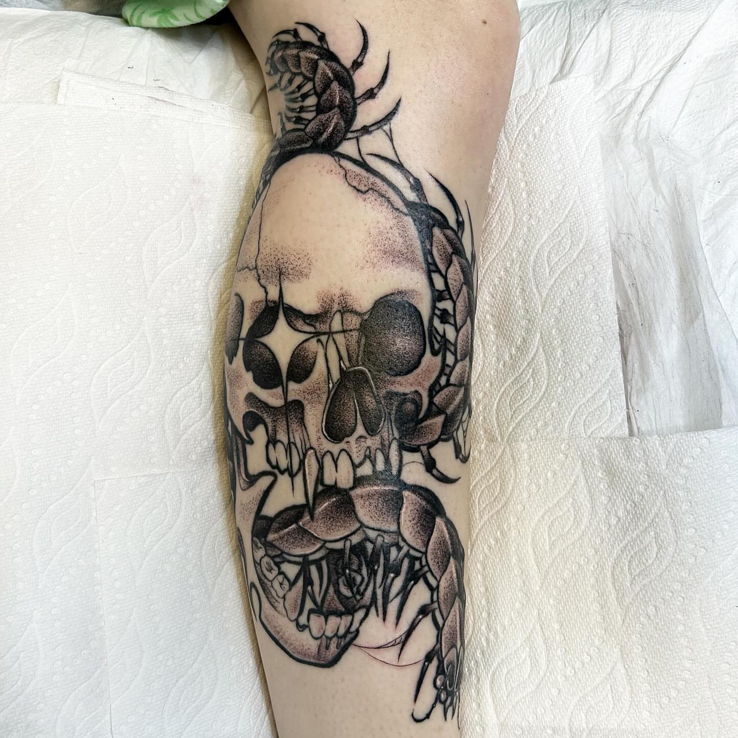 Skull with insects dotwork tattoo on the forearm by ♡︎ Kaylie ♡︎, Tacoma, Washington