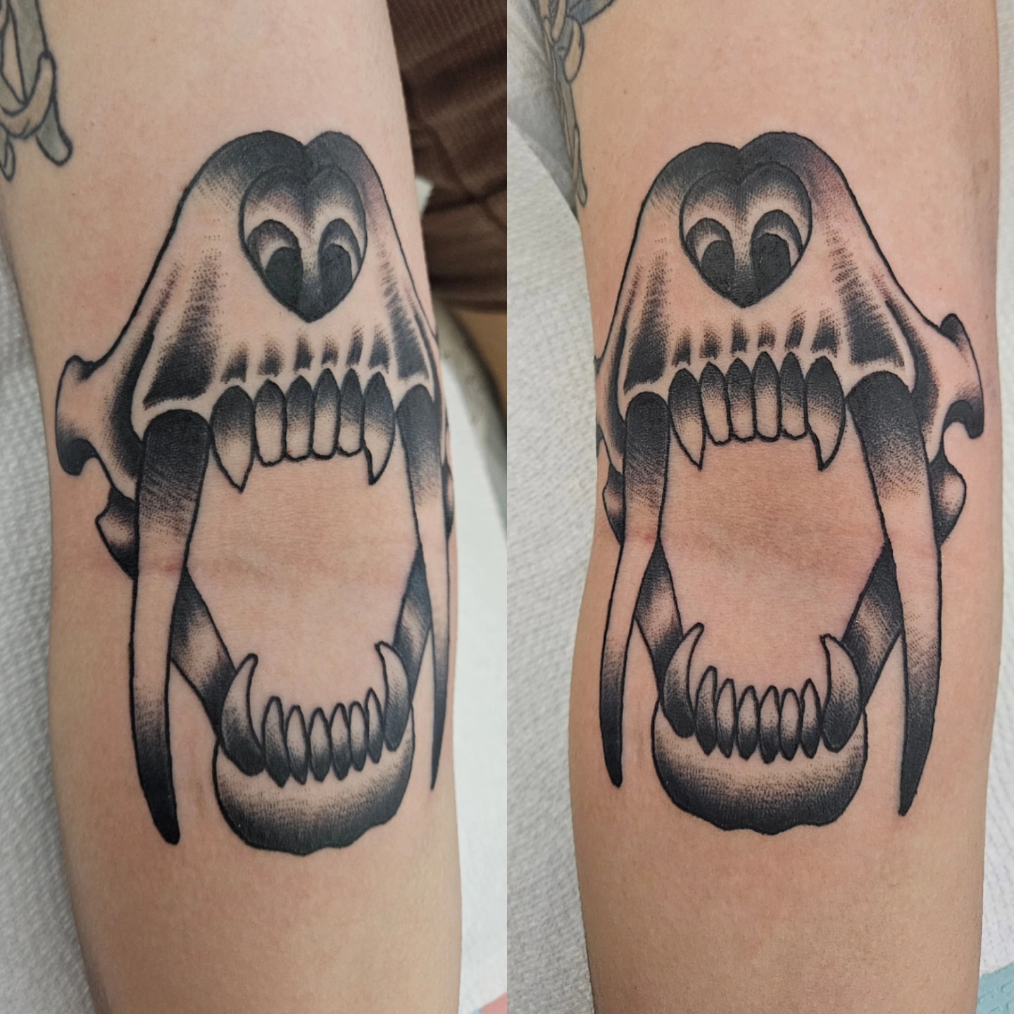 Skull dotwork tattoo on the forearm by Ginny McCormick, Richmond, Virginia