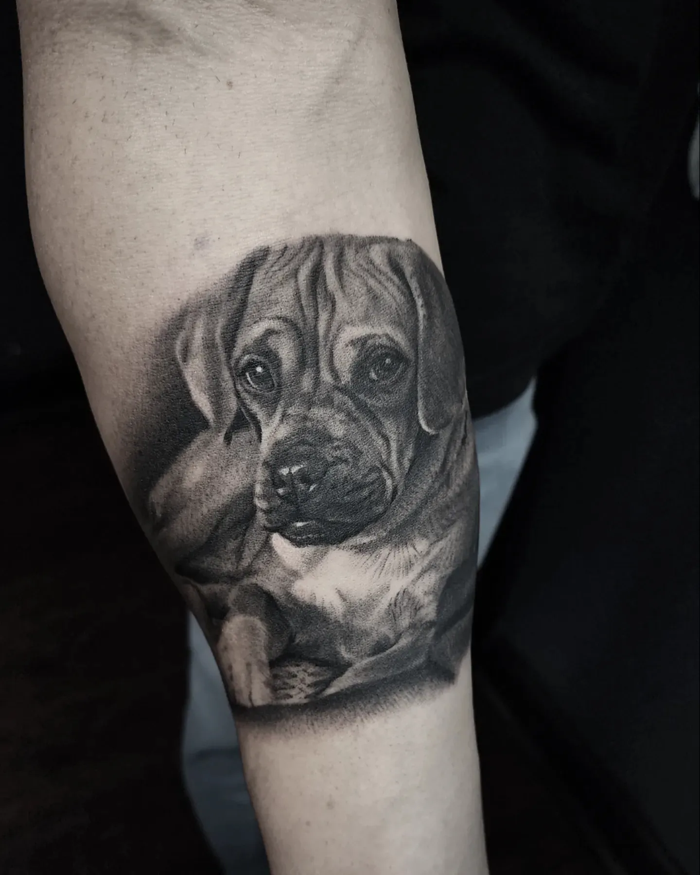 Tattoo by @daniryantattoos — realism