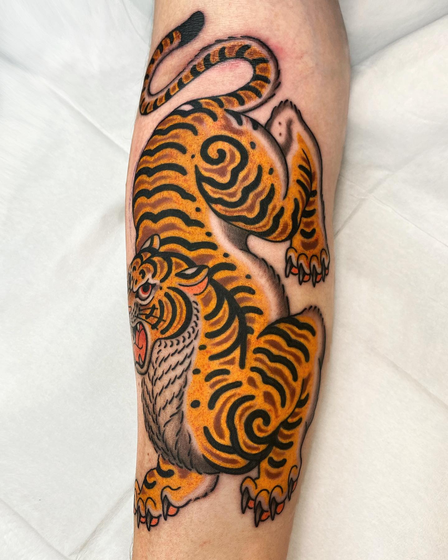 Tiger American traditional tattoo on the forearm by Wes Hoffman