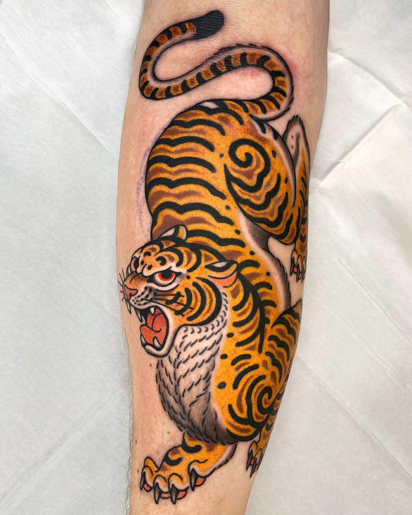 Tiger American traditional tattoo on the forearm by Wes Hoffman