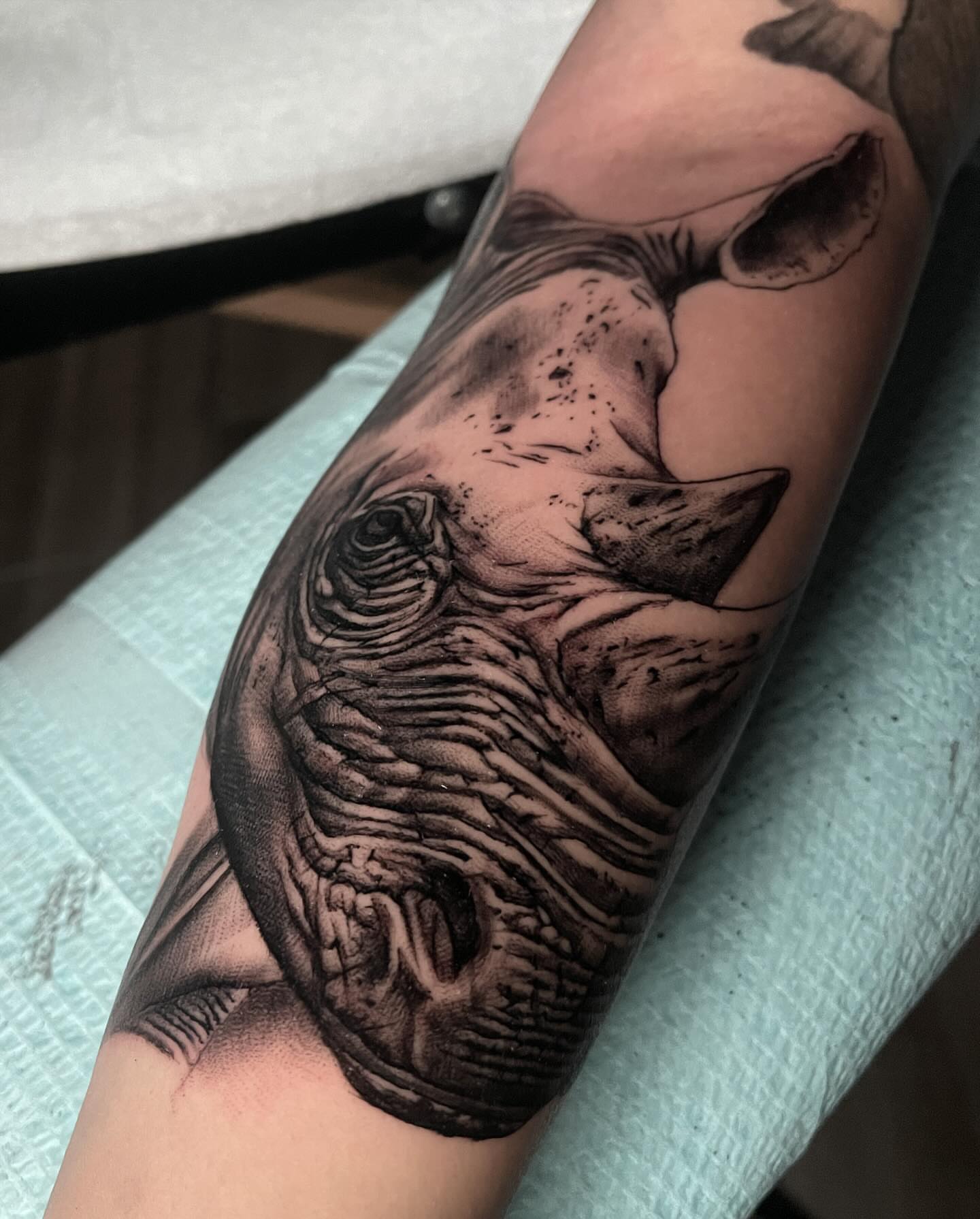 Elephant realism tattoo on the forearm by Alex Rockoff