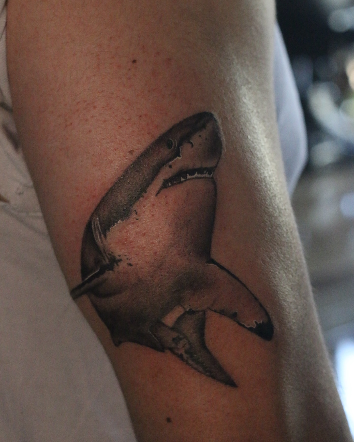 Shark realism tattoo on the forearm by alex h🪴 neotrad