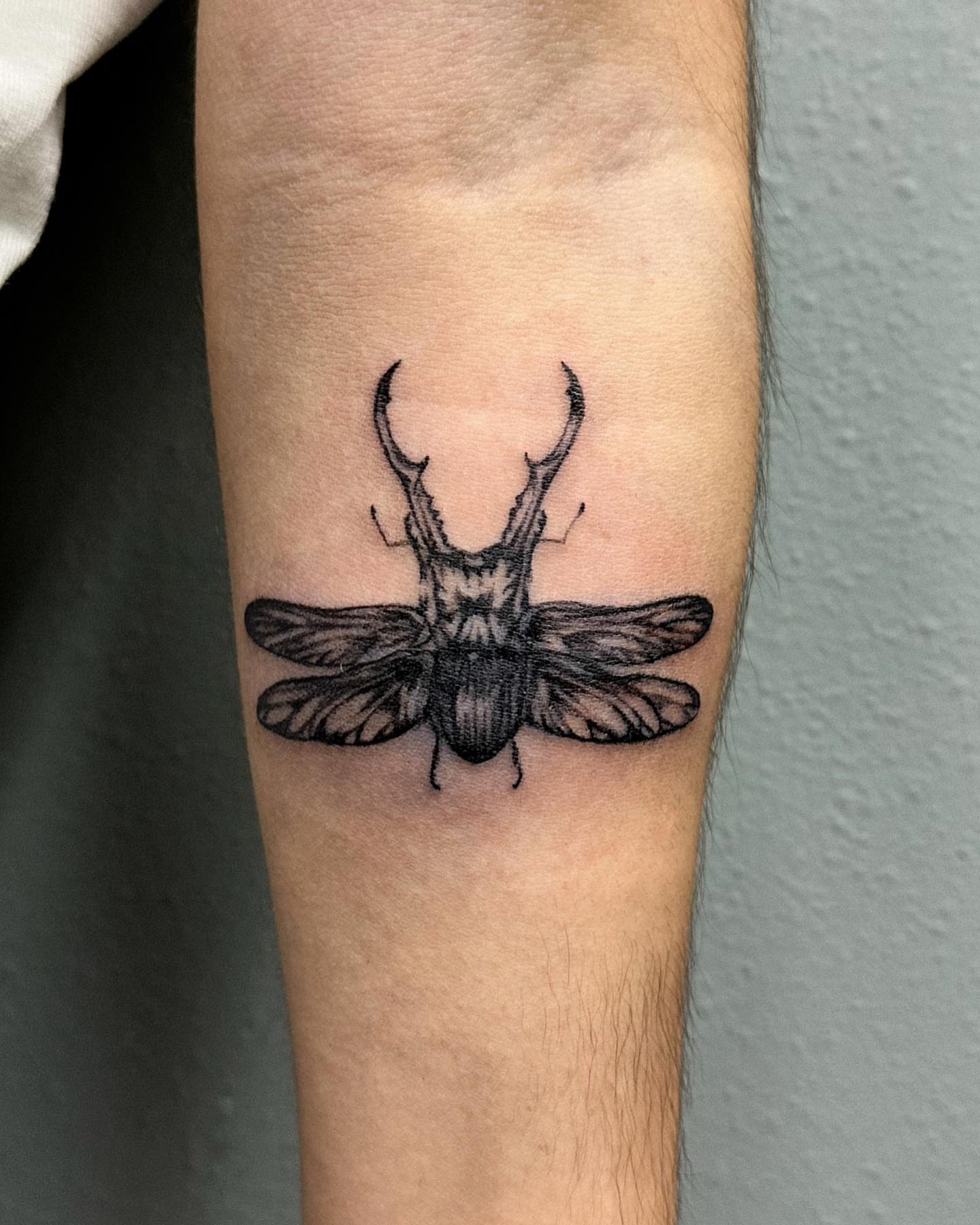 Stag beetle black and grey tattoo on the forearm by Portland Tattoo Artist