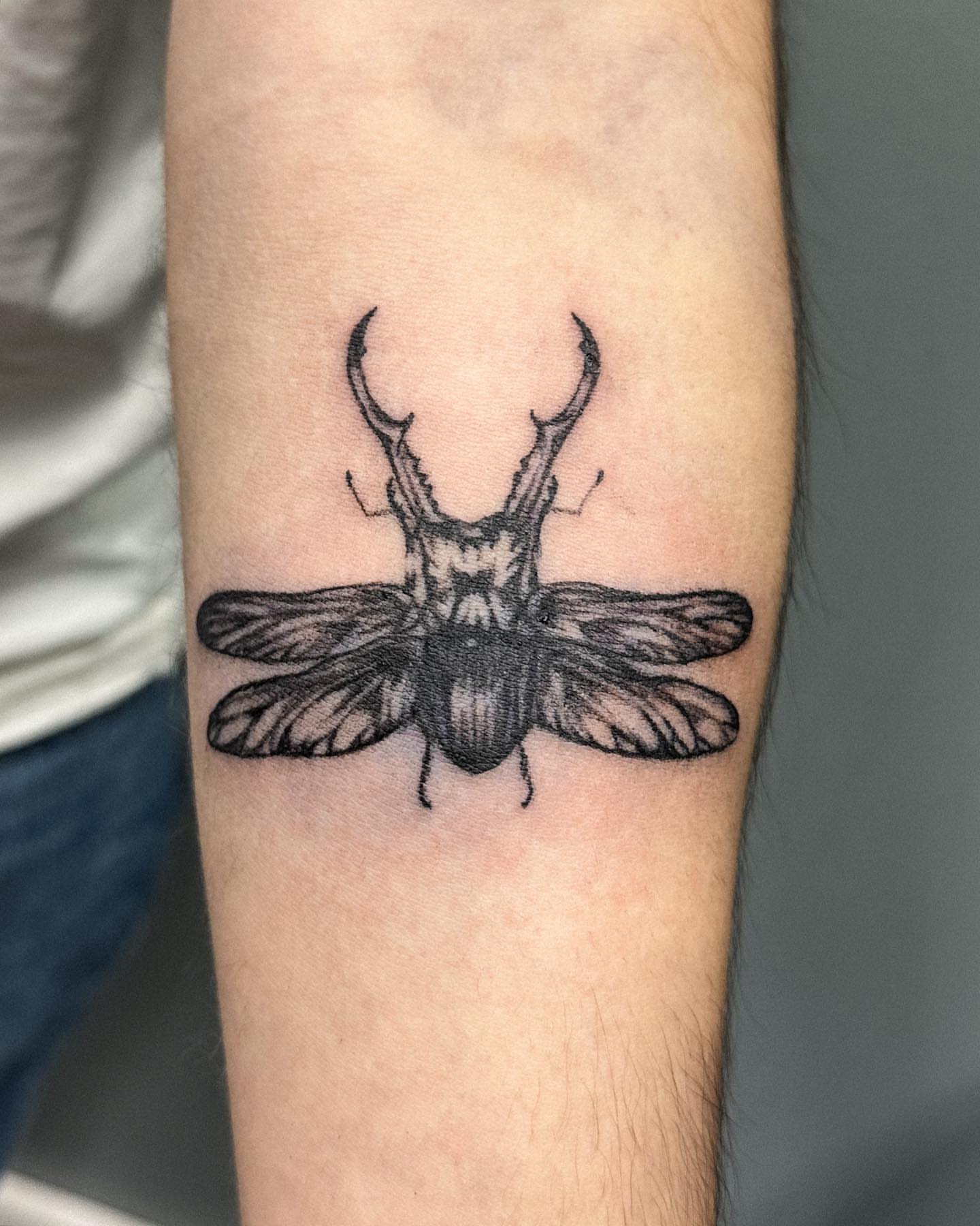 Stag beetle black and grey tattoo on the forearm by Portland Tattoo Artist