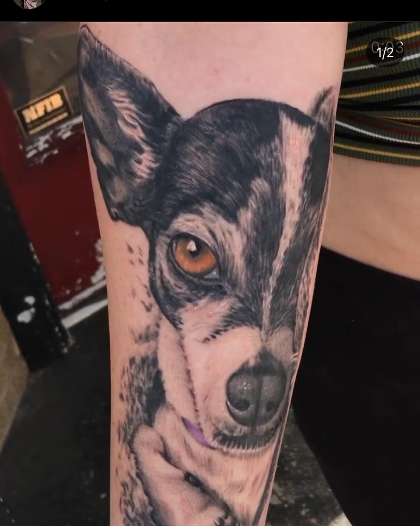 Tattoo by @chunky_tattooer — realism