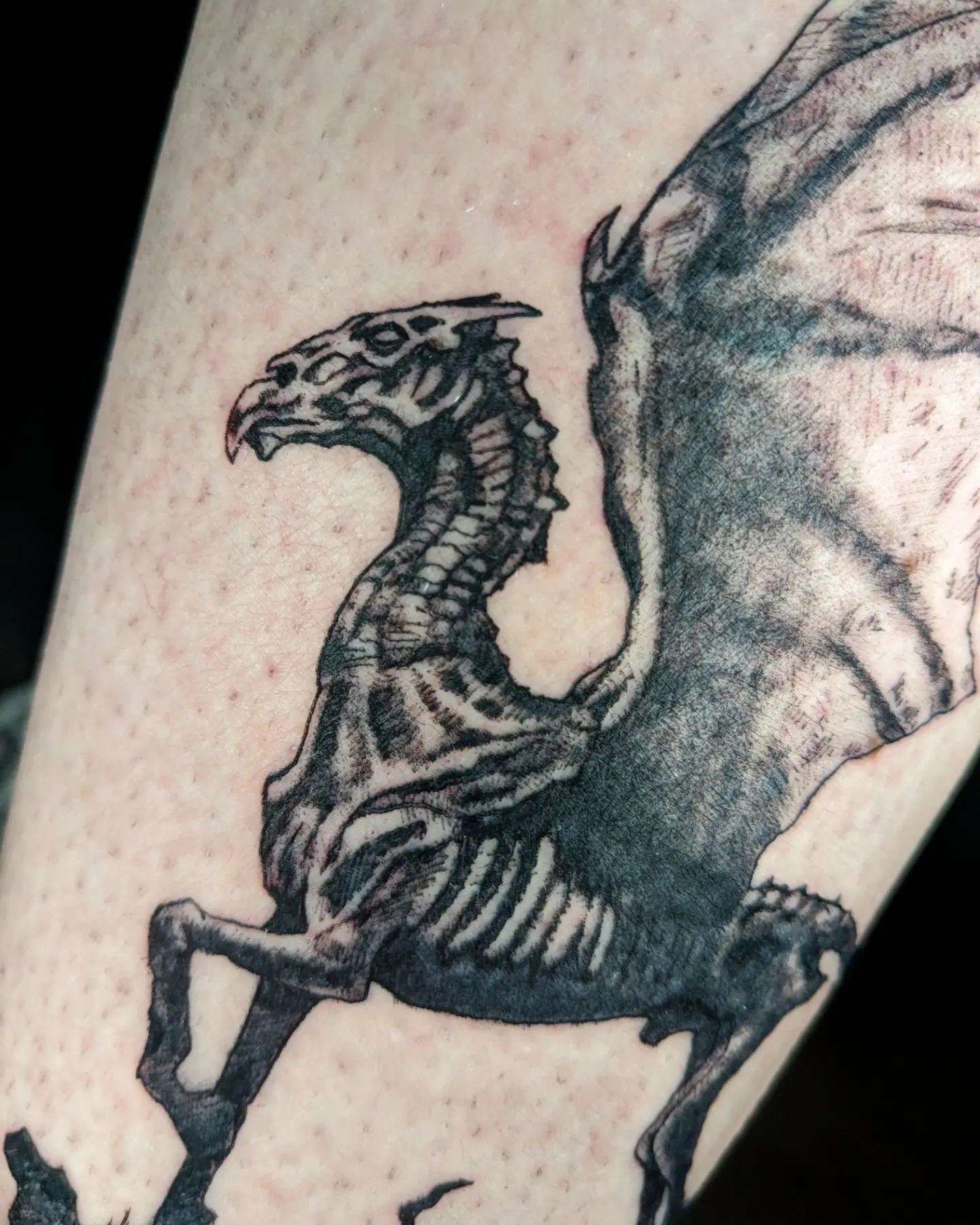 Dragon black and grey tattoo on the forearm by Seth Chitwood