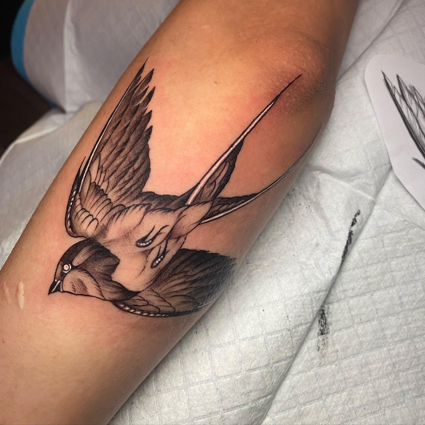 Swallow American traditional tattoo on the forearm by Tattertot