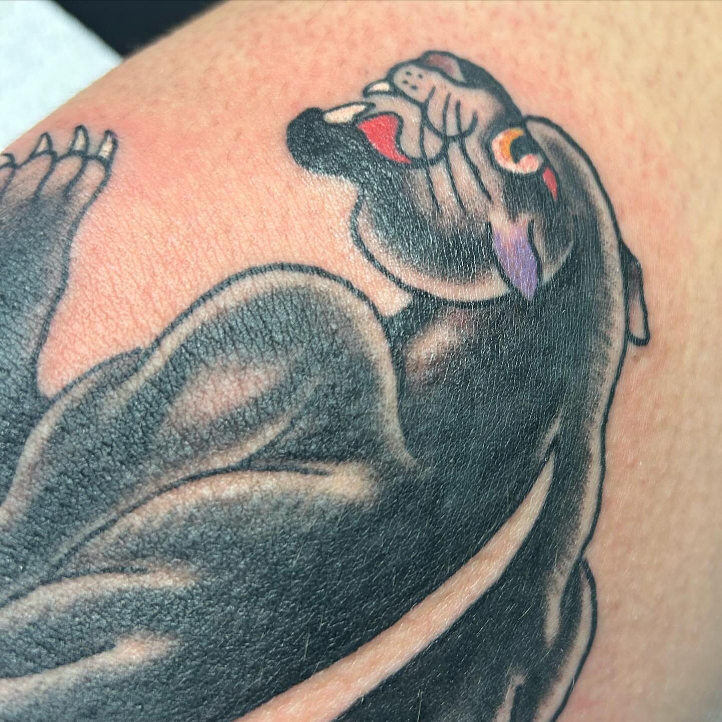 Dog American traditional tattoo on the upper arm by Alex Fannin