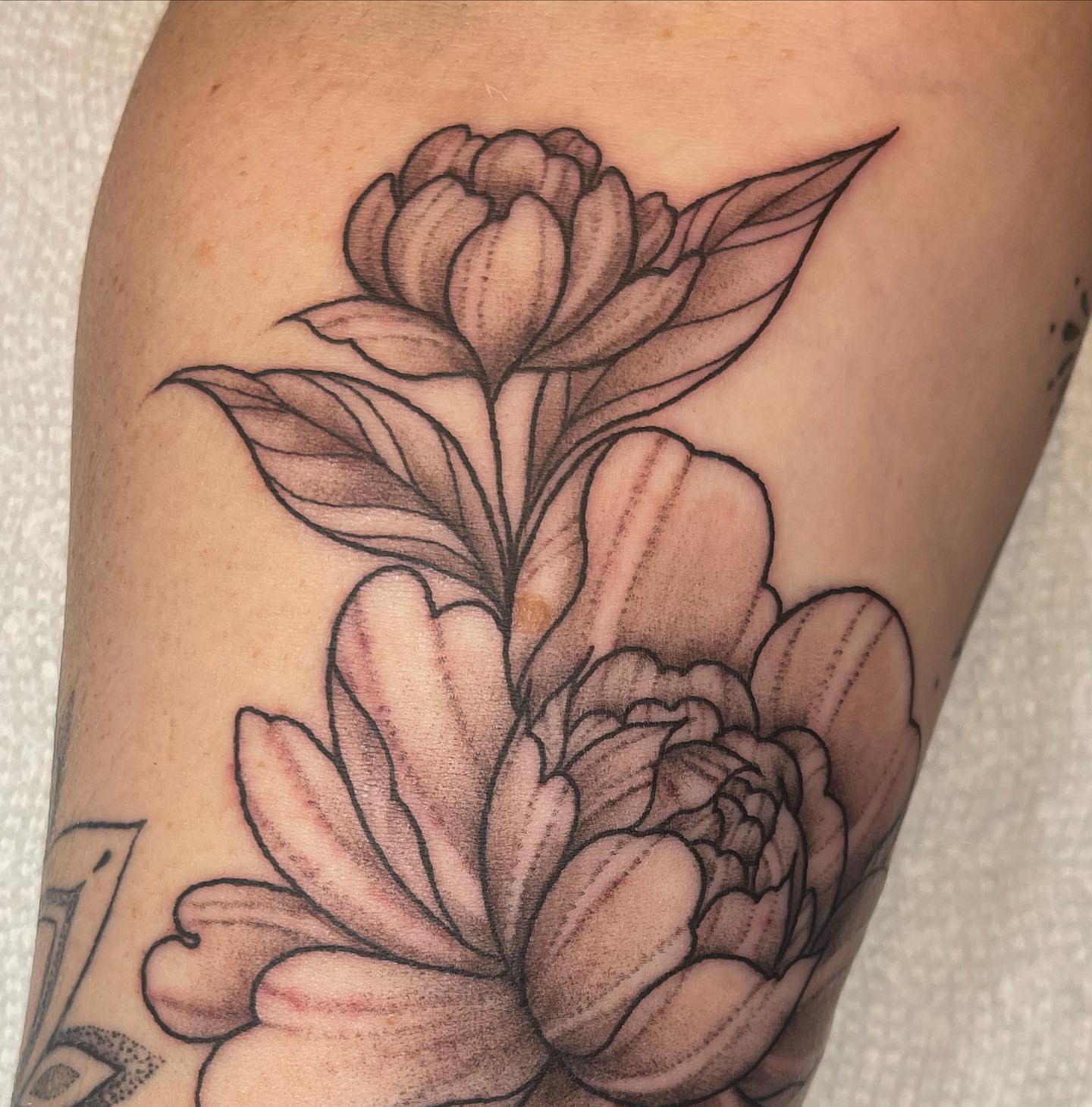 Tattoo by @kkstattoos — black_and_grey