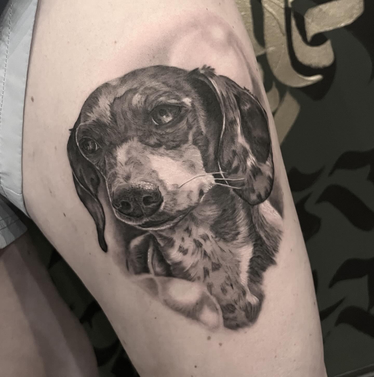 Dachshund realism tattoo on the thigh by mike hudson