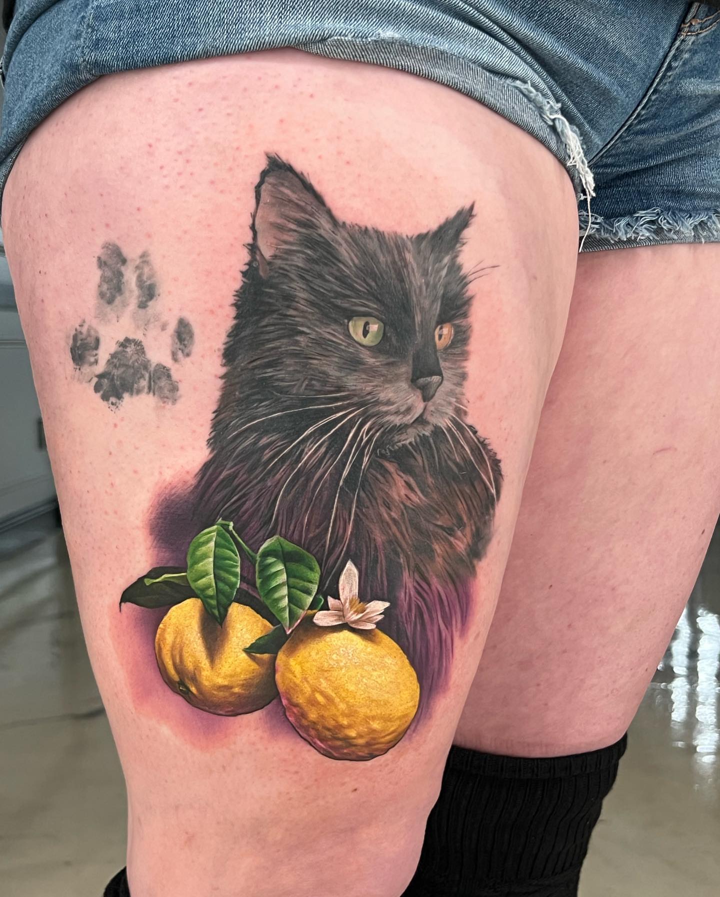 Cat and lemons realism tattoo on the thigh by Derek Gardner