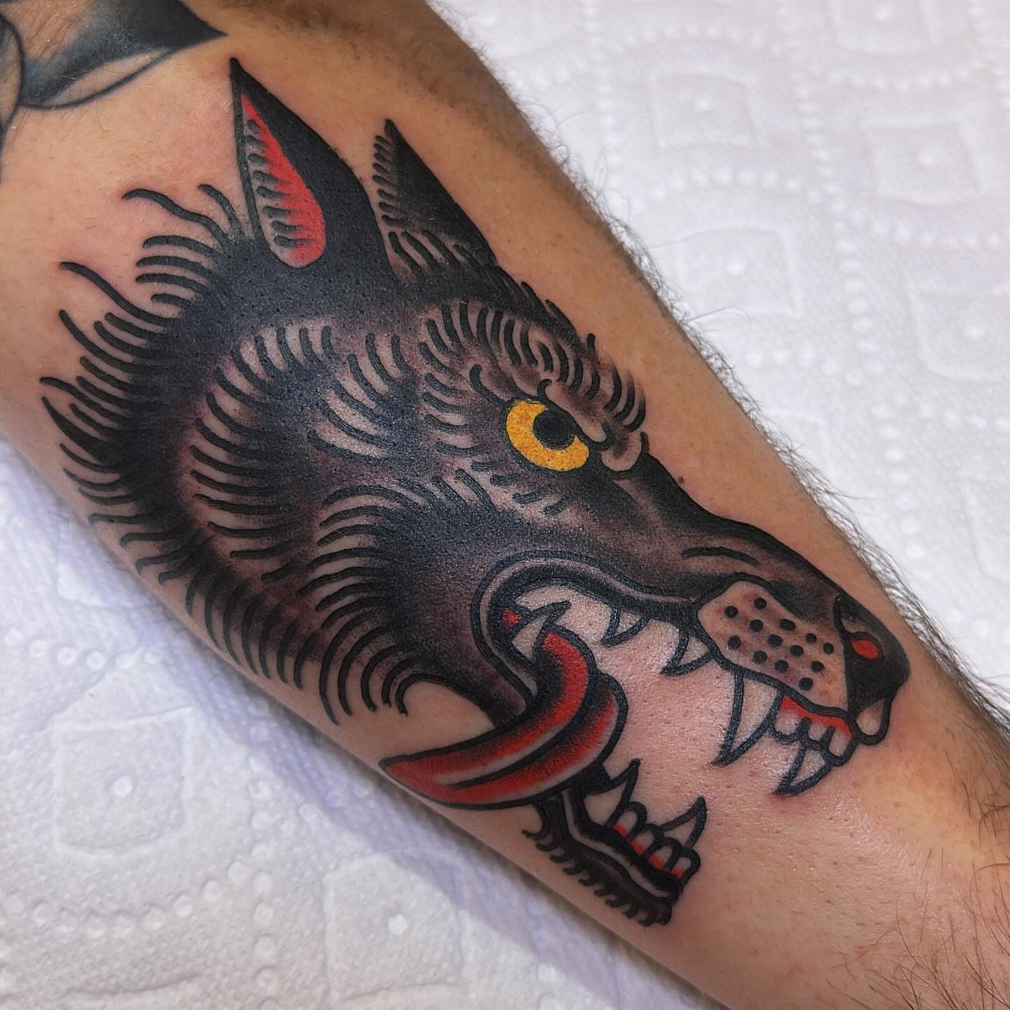 Wolf head American traditional tattoo on the forearm by Isaac Brethauer