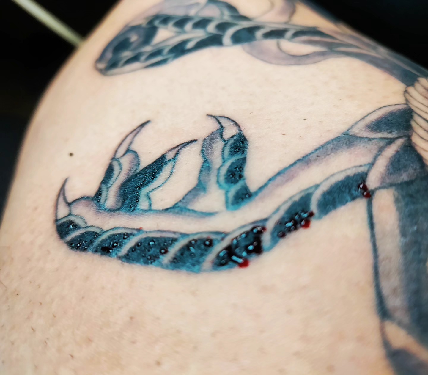 Clawed paw dotwork tattoo on the shoulder by Noriega Josué