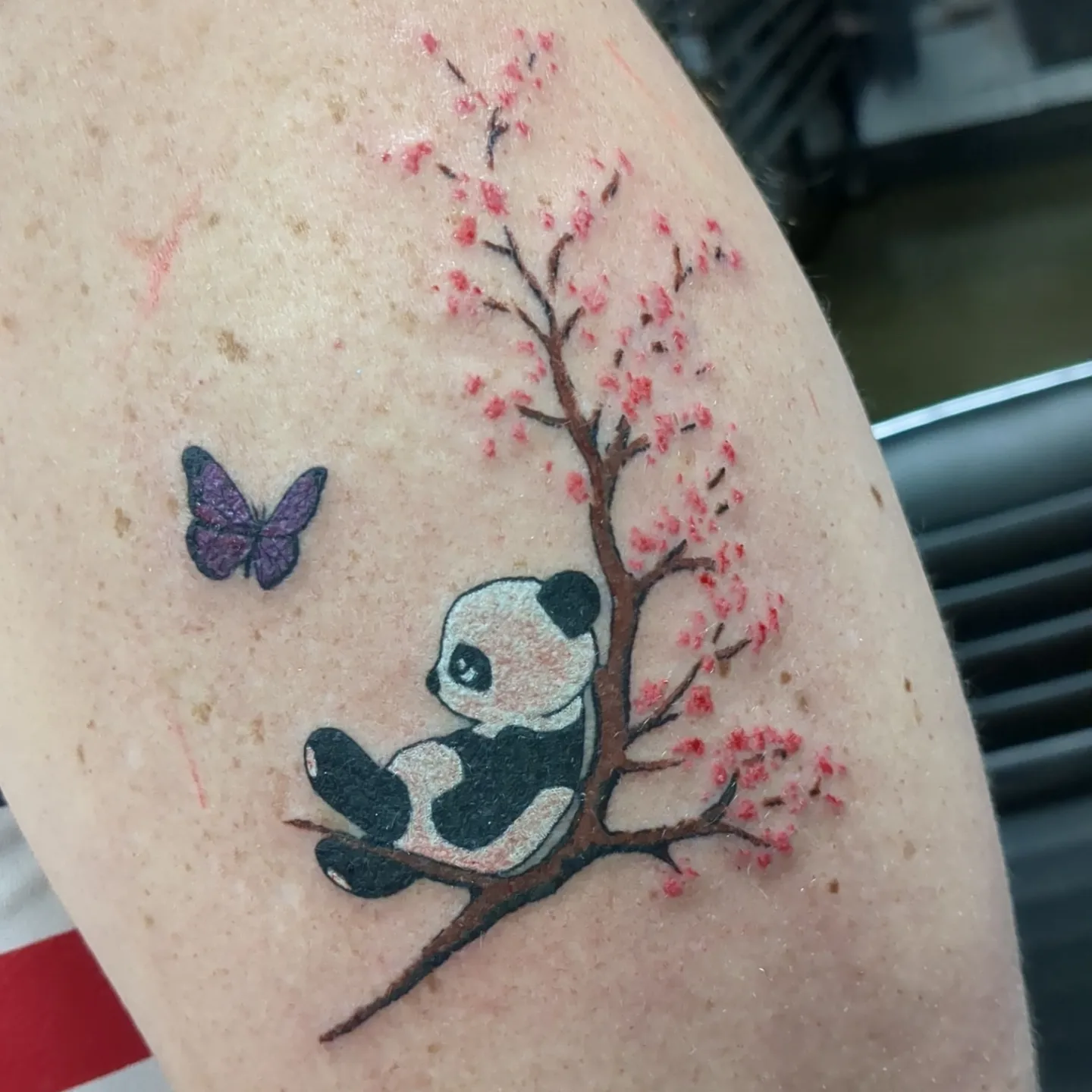 Panda bear and cherry blossoms dotwork tattoo on the forearm by Seth Chitwood