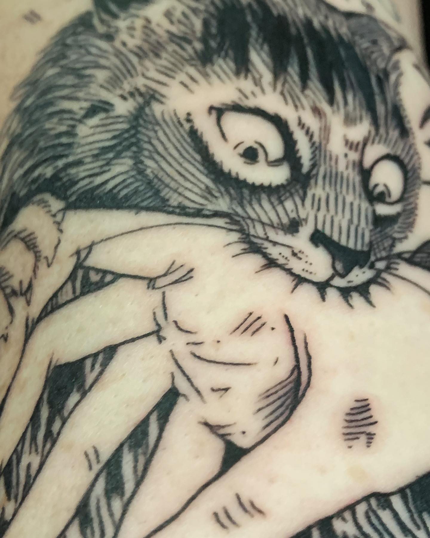 Cat and man black and grey tattoo on the chest by Roman Butryy
