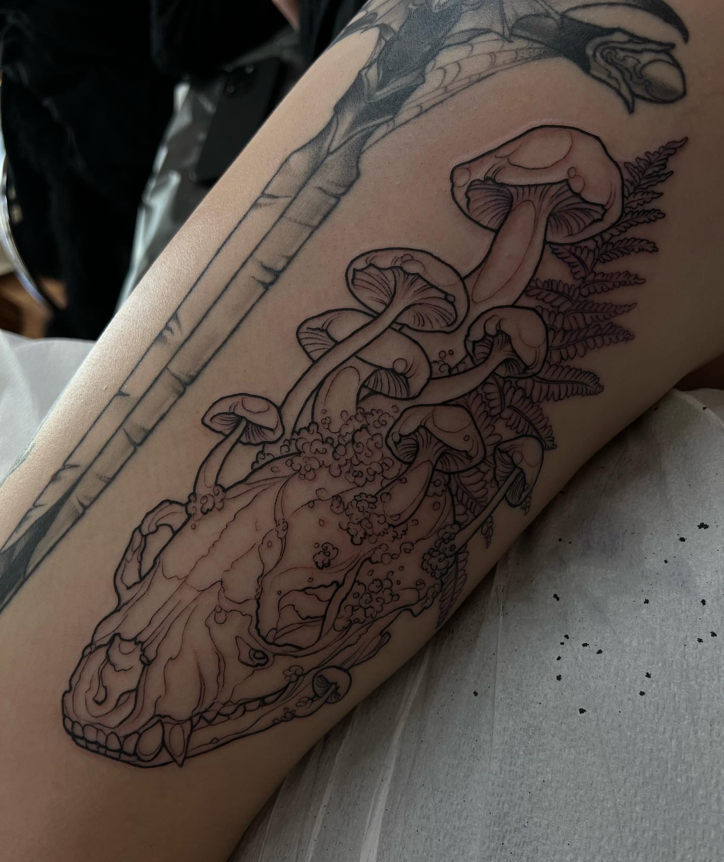Skull and mushrooms realism tattoo on the forearm by β₯πΈππͺπ€π€π ππβπππβ₯