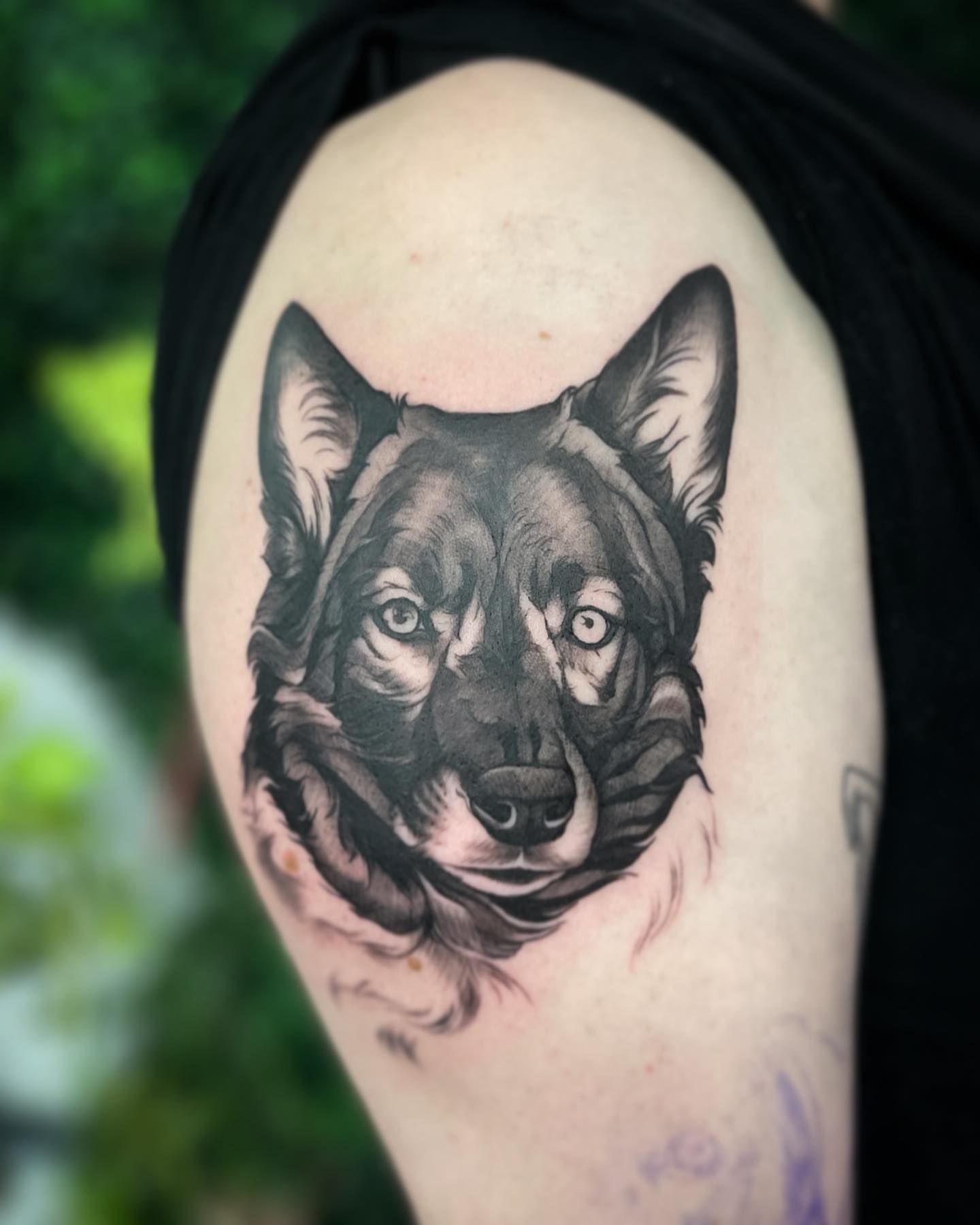 Tattoo by @rachelmillertattoos β realism