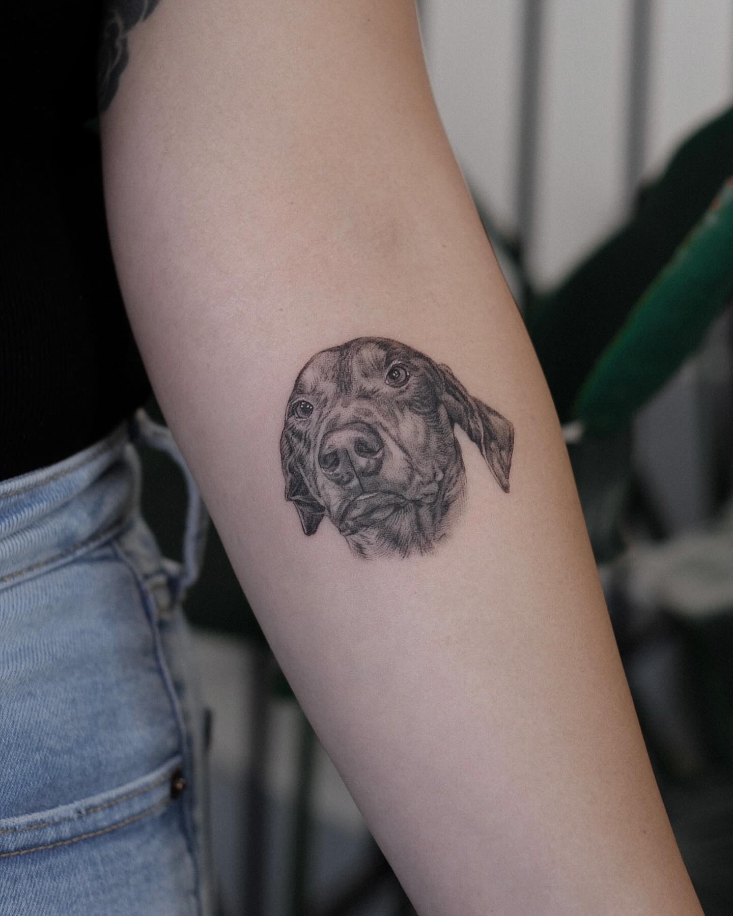 Dog head realism tattoo on the forearm by Kate
