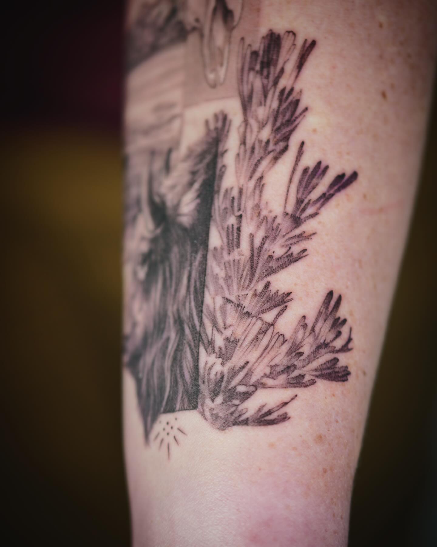 Pine branch black and grey tattoo on the forearm by Stephanie Shortsleeve