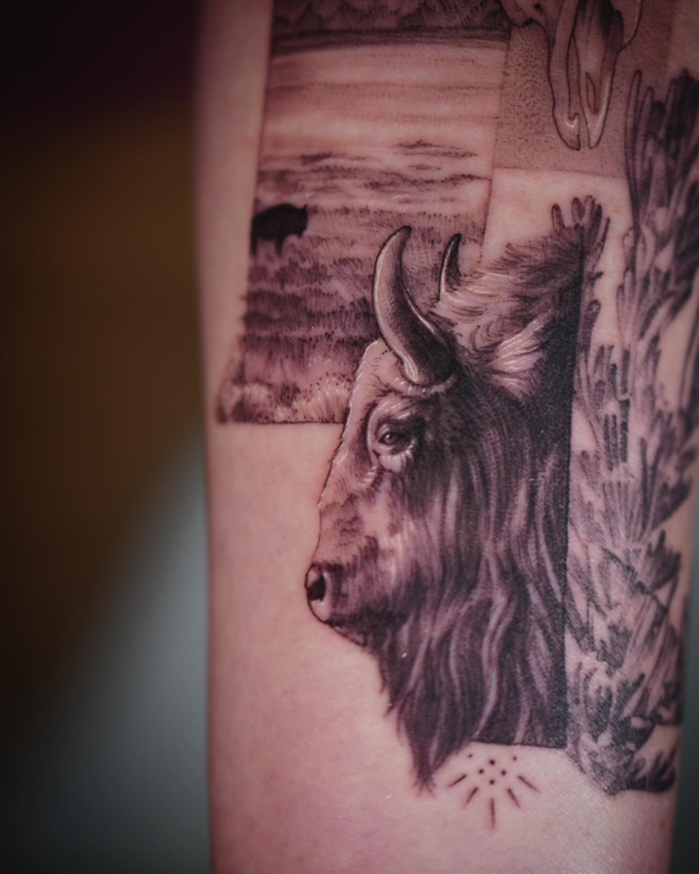 Buffalo realism tattoo on the forearm by Stephanie Shortsleeve