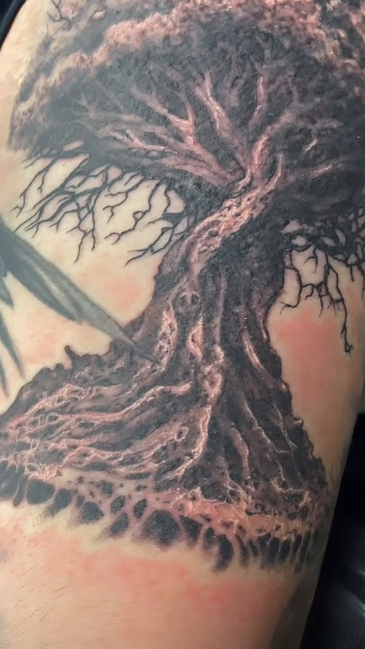 Tattoo by @jasonadkinstattoo — realism, black_and_grey