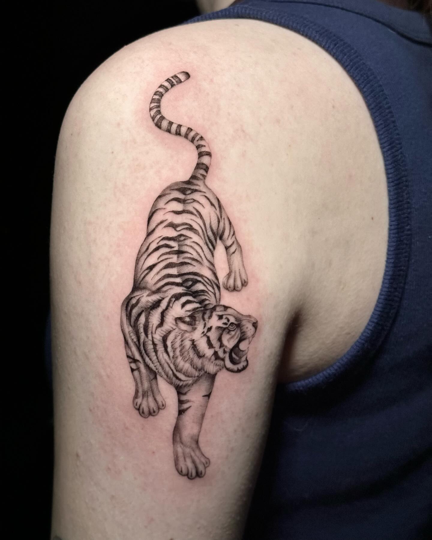 Tiger black and grey tattoo on the shoulder by Summers