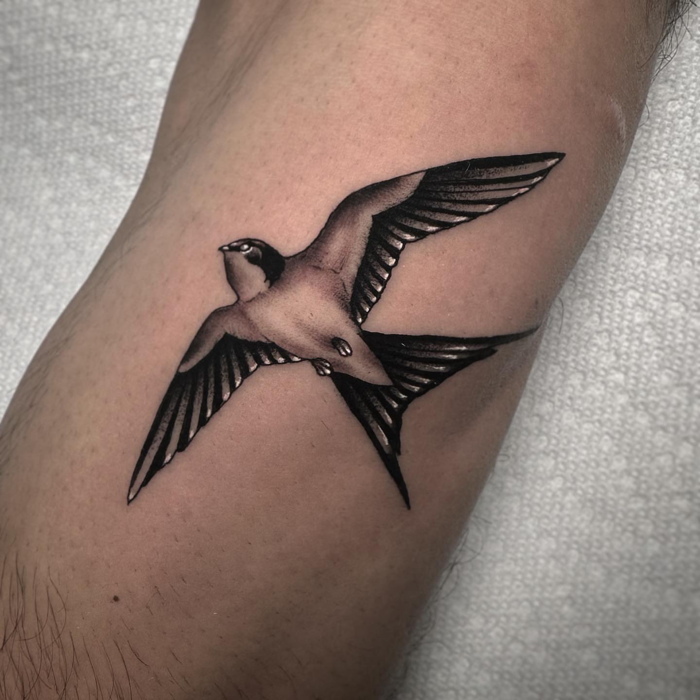 Swallow black and grey tattoo on the forearm by Patrick Whiting