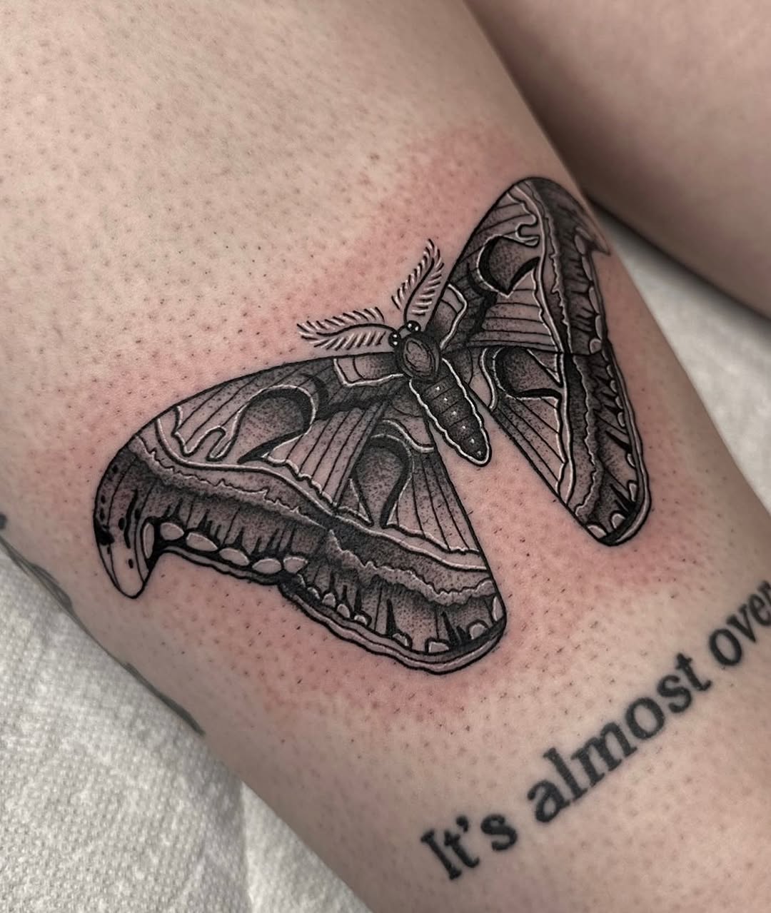 Tattoo by @joanadianetattoos β black_and_grey, dotwork