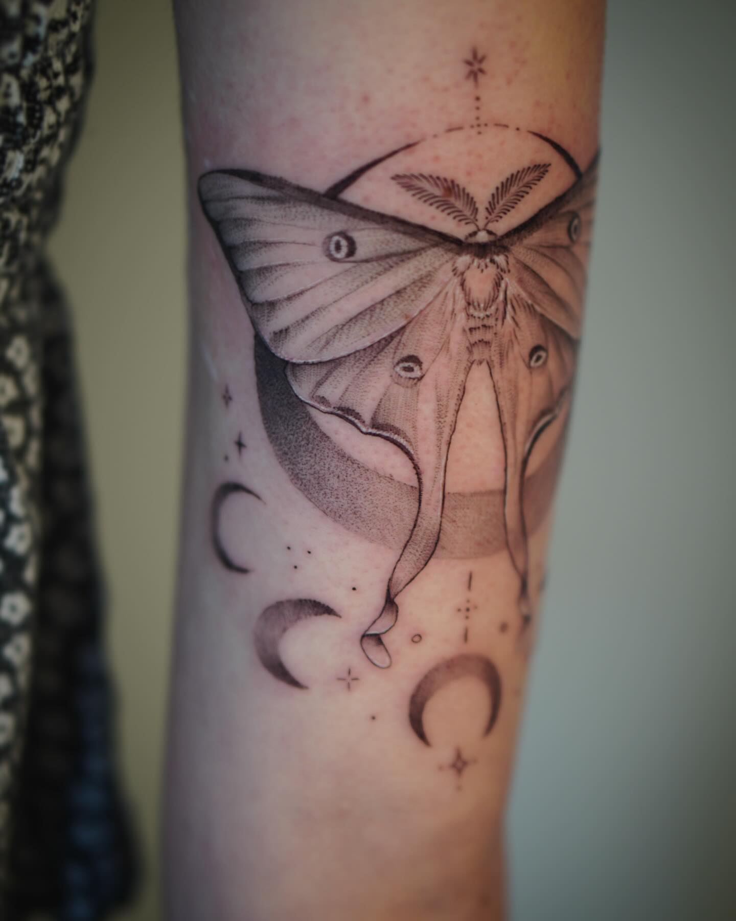 Moth dotwork tattoo on the forearm by Stephanie Shortsleeve