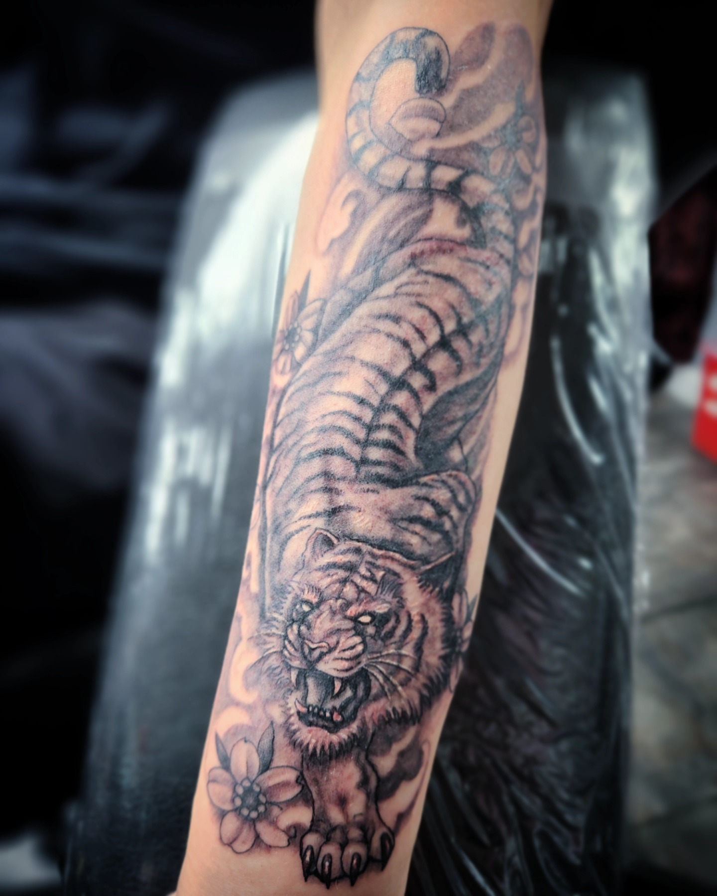 Tiger black and grey tattoo on the forearm by Jennalea