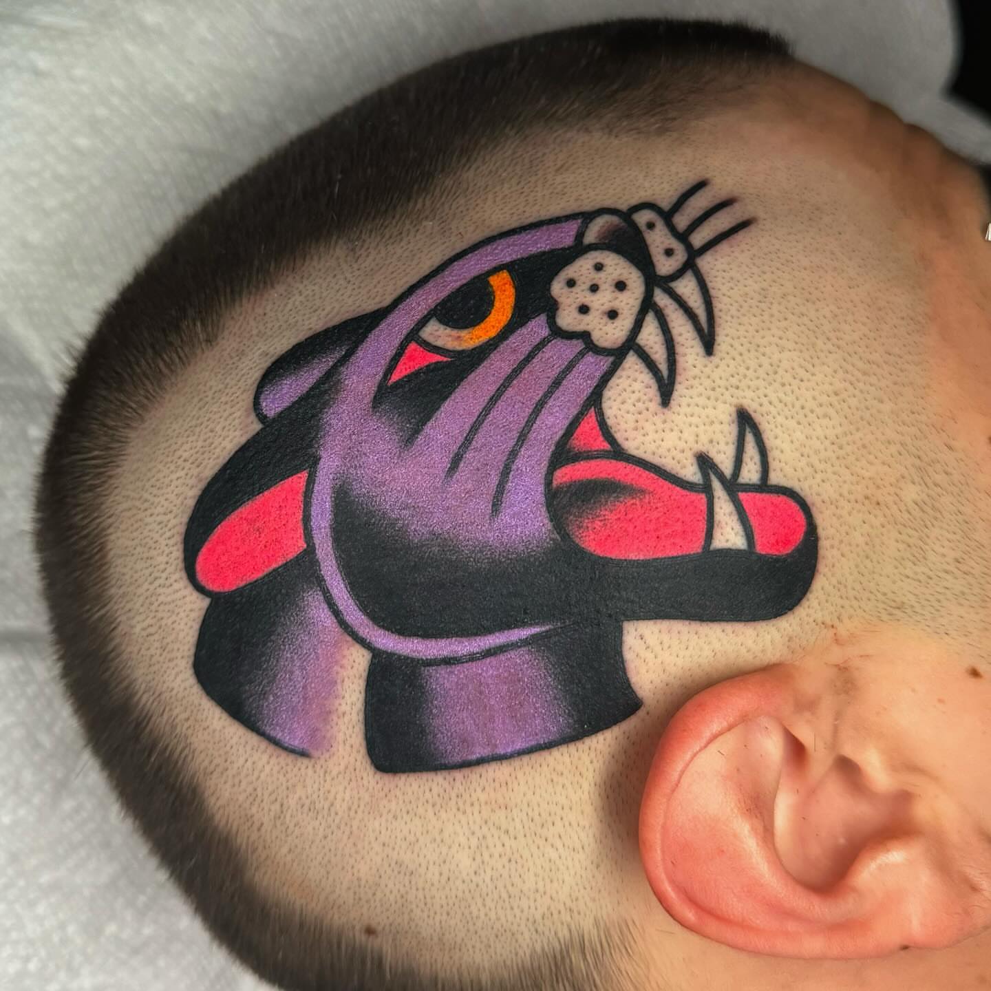 Cat American traditional tattoo on the head by James Shepherd, Austin, Texas