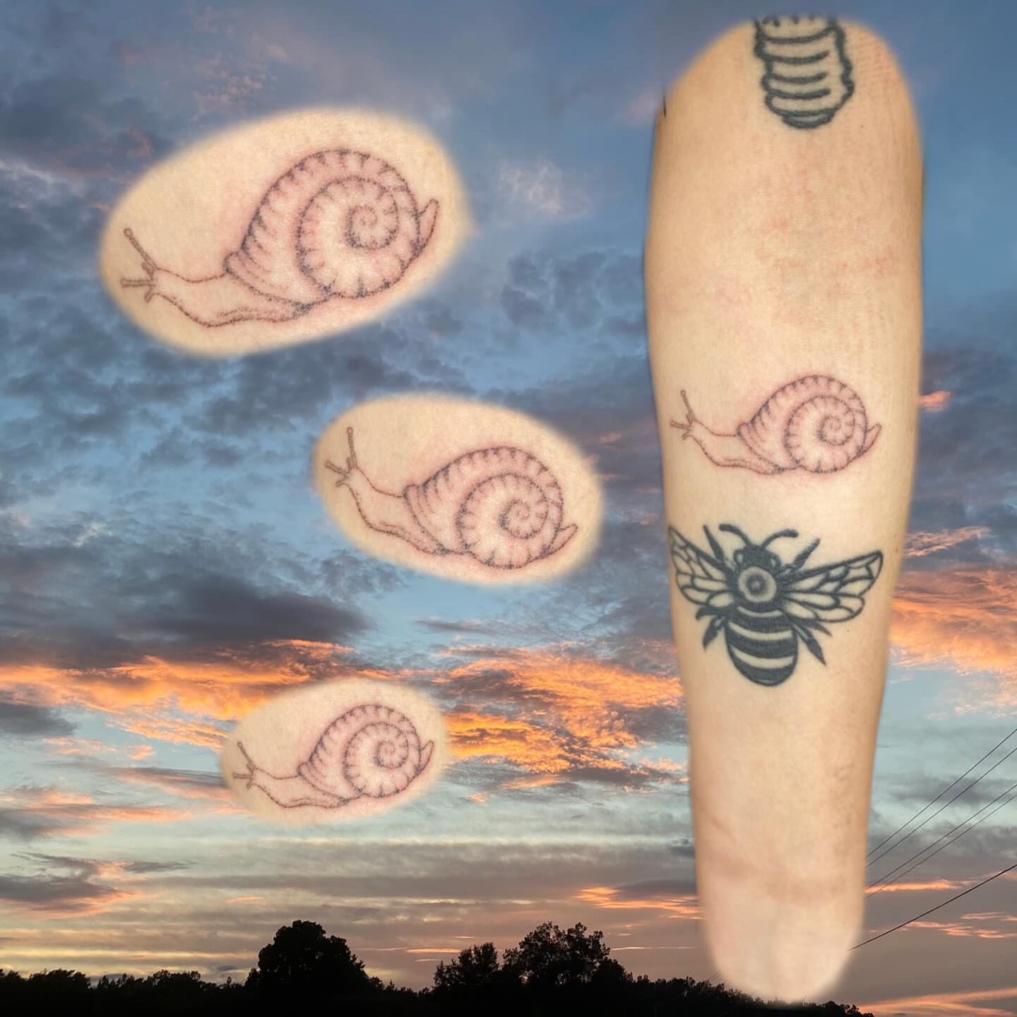 Snail black and grey tattoo on the forearm by Maddy ⁂, Murfreesboro, Tennessee