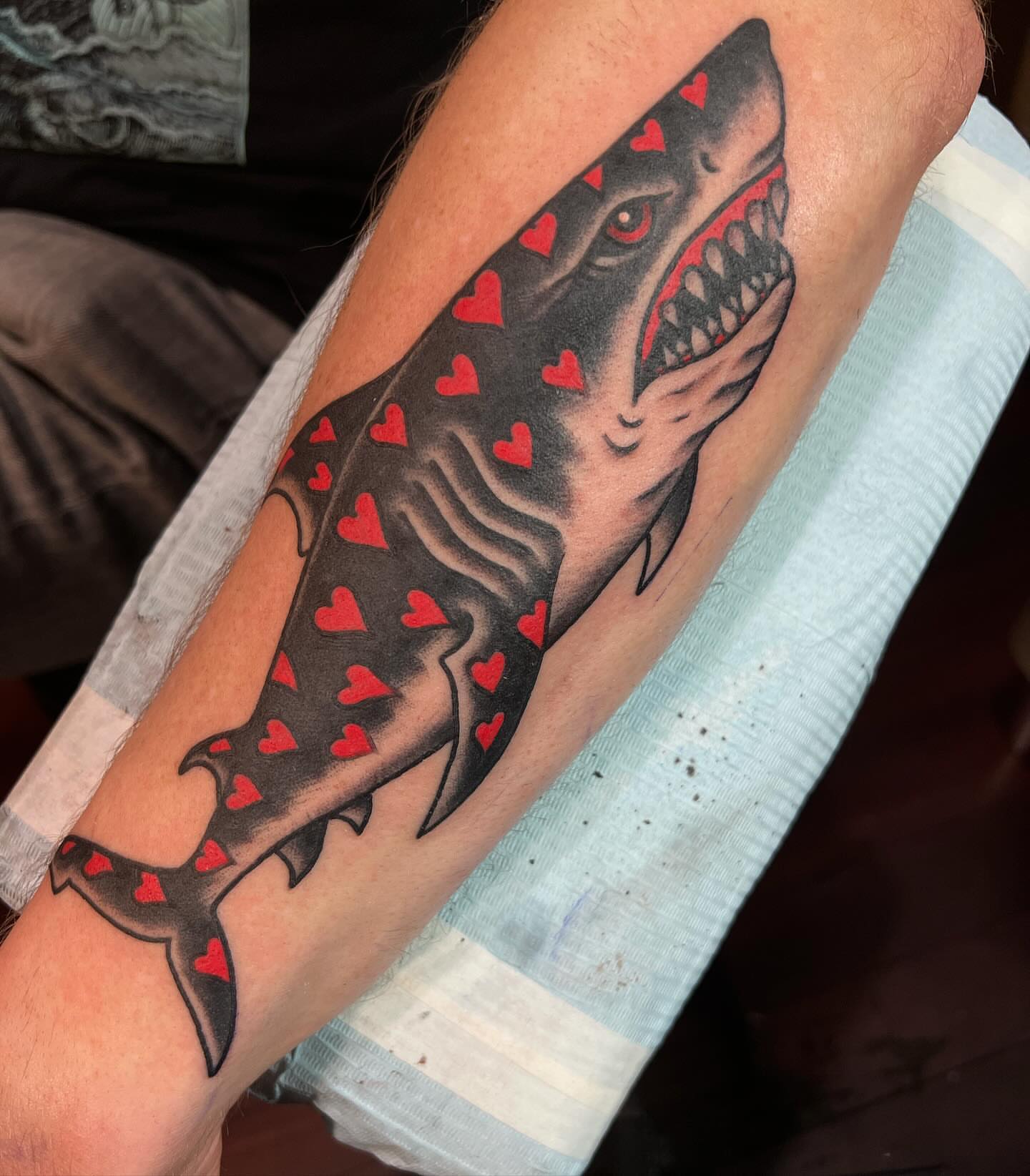 Shark American traditional tattoo on the forearm by Ross K. Jones Tattoos, San Francisco, California