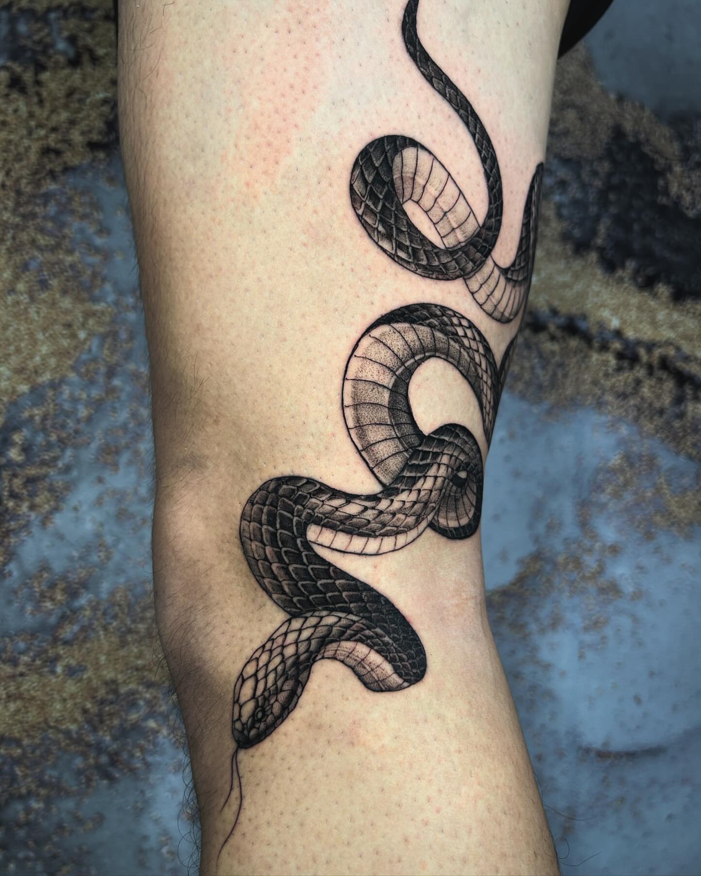 Snake black and grey tattoo on the forearm by Cindy Xu