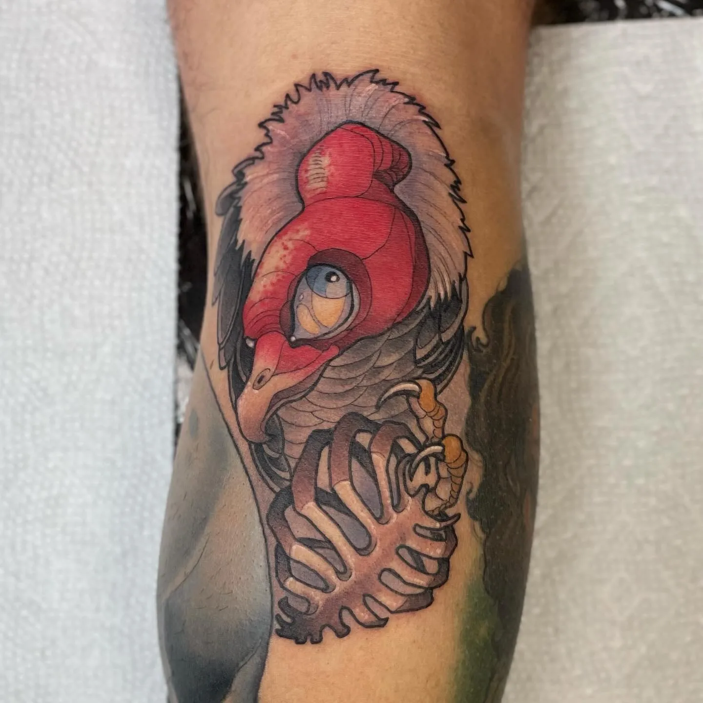 Bird realism tattoo on the forearm by Nathan Evans