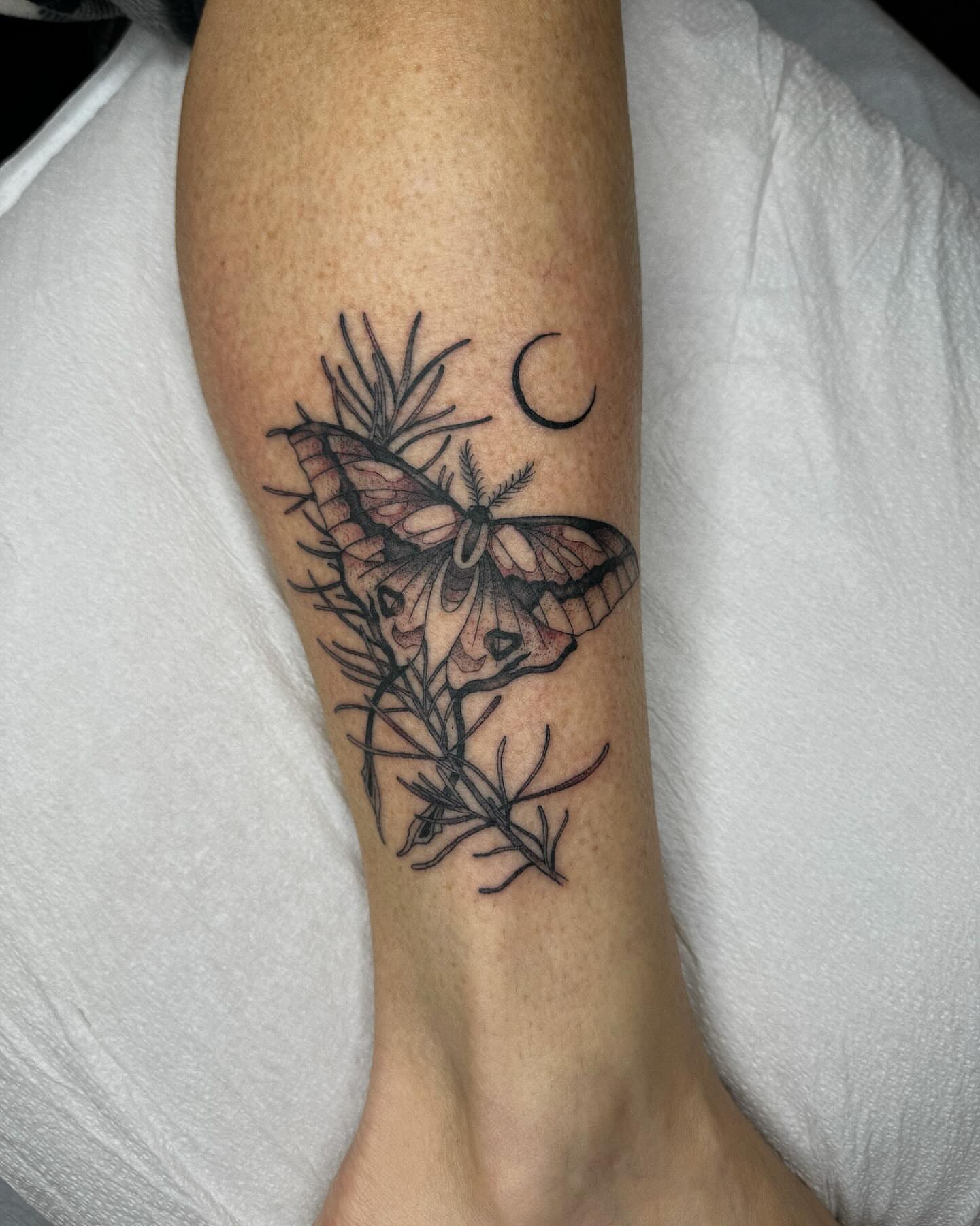 Moth and rosemary black and grey tattoo on the forearm by Finley Jordan