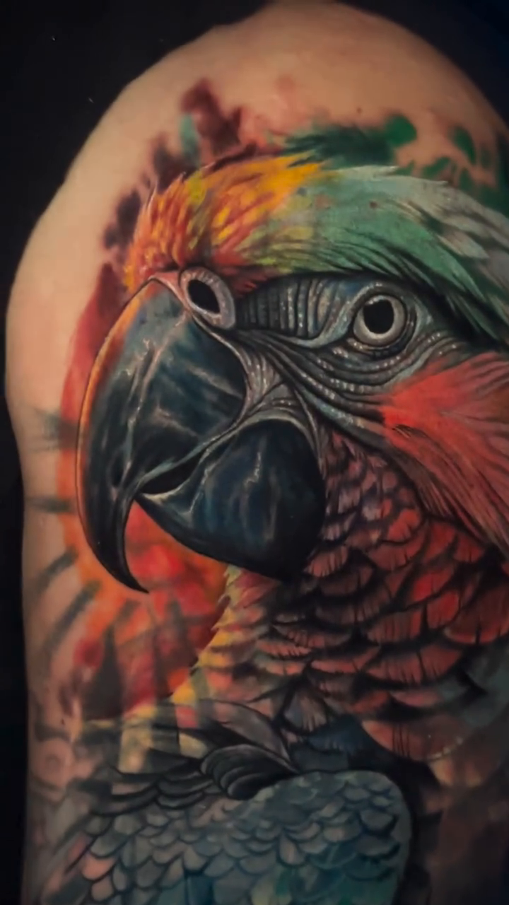 Parrot realism tattoo by James Moyer