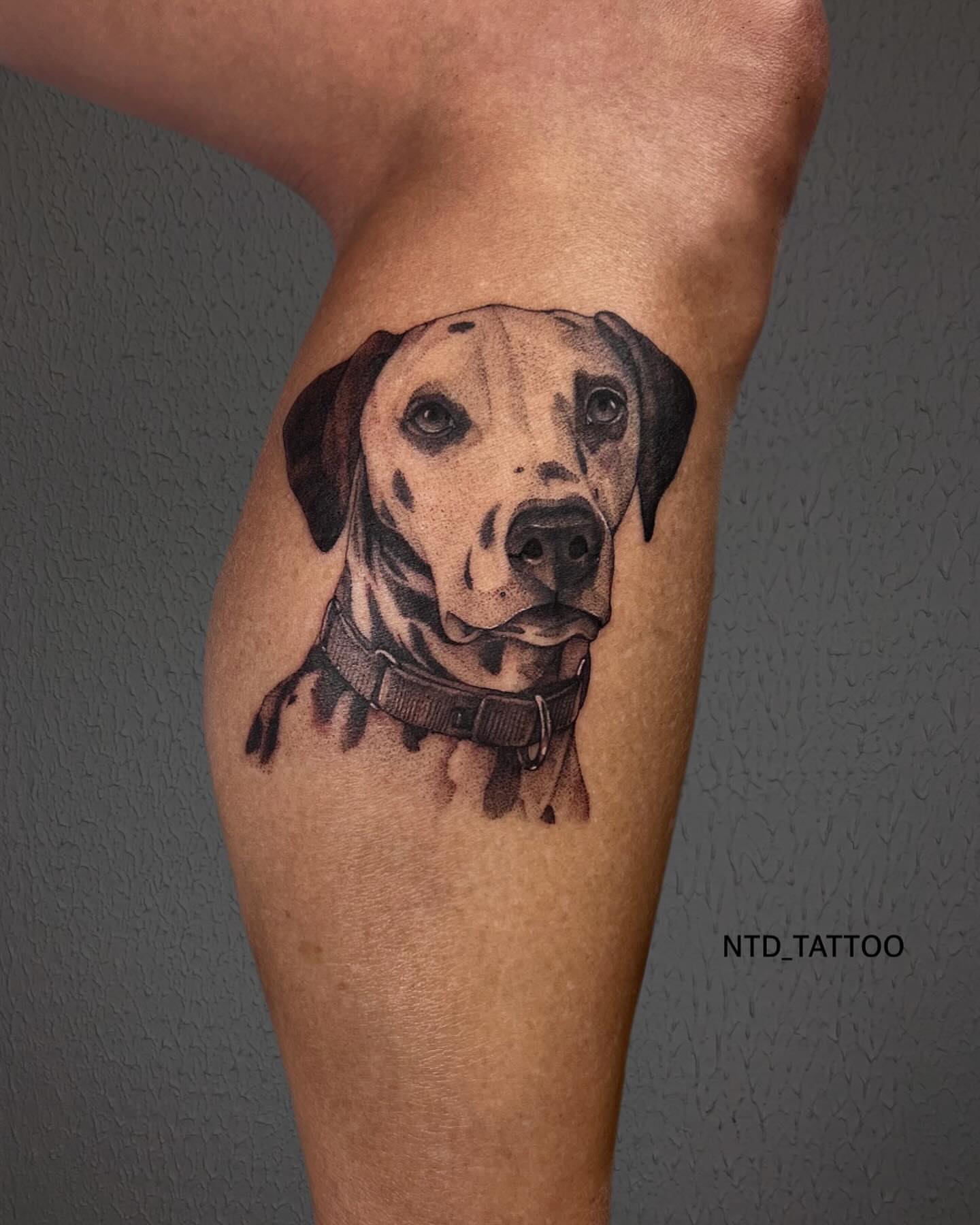 Tattoo by @ntd_tattoo — dotwork, realism