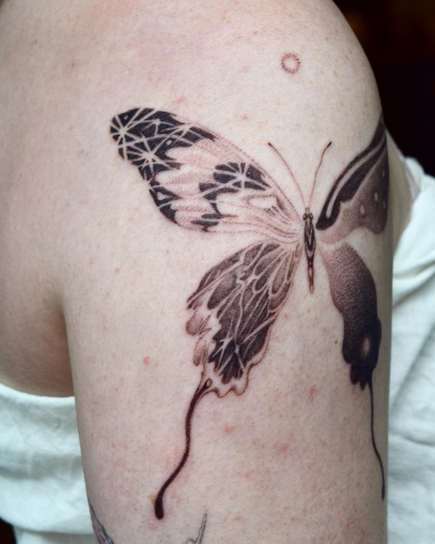 Butterfly realism tattoo on the shoulder by Stella Oh